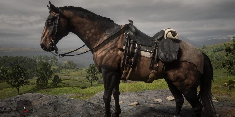 Red Dead Redemption Dutch Warmblood