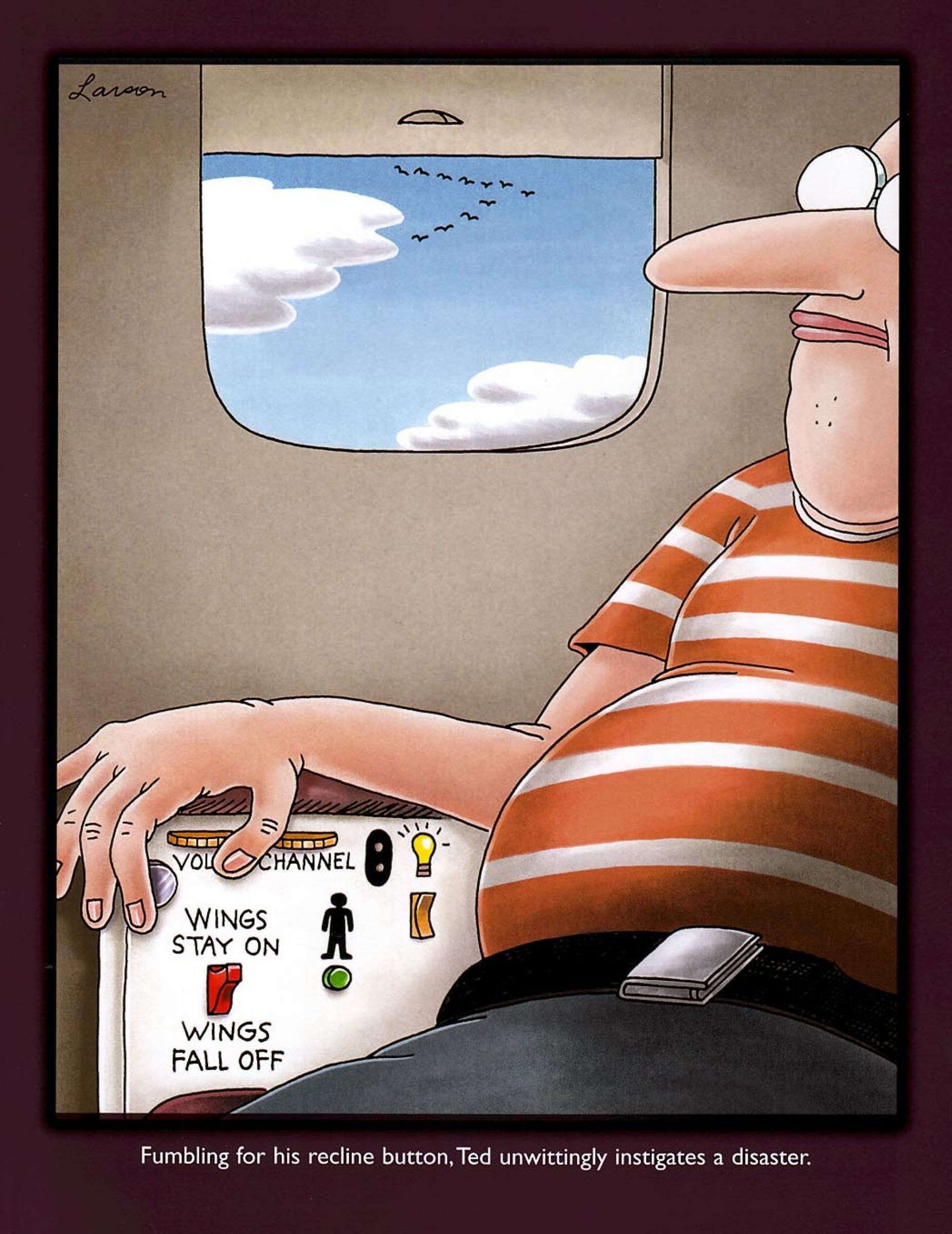 Far Side Comic Wings Cai do Desastre