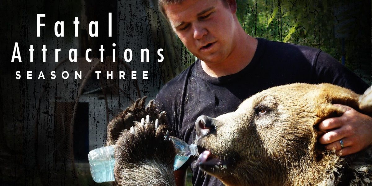 A man plays with a bear from Fatal Attractions 
