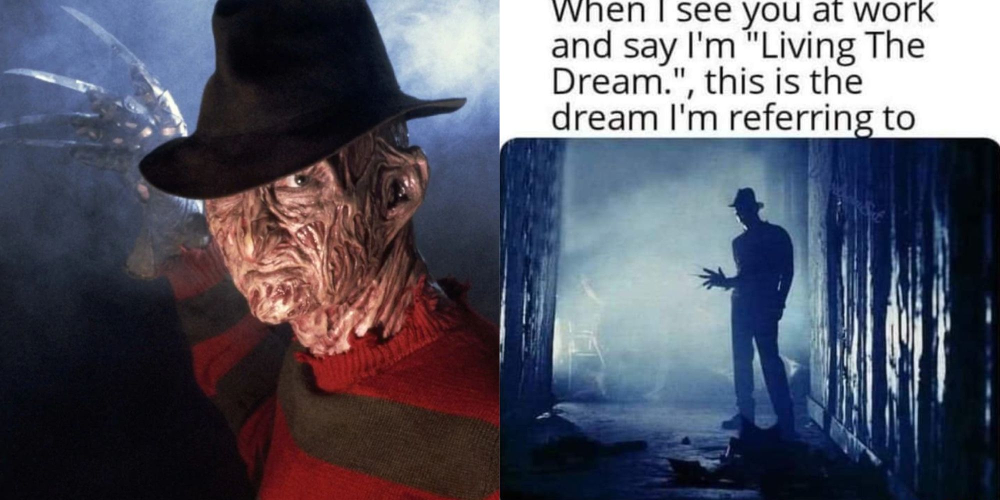 Freddy Krueger and a Freddy meme