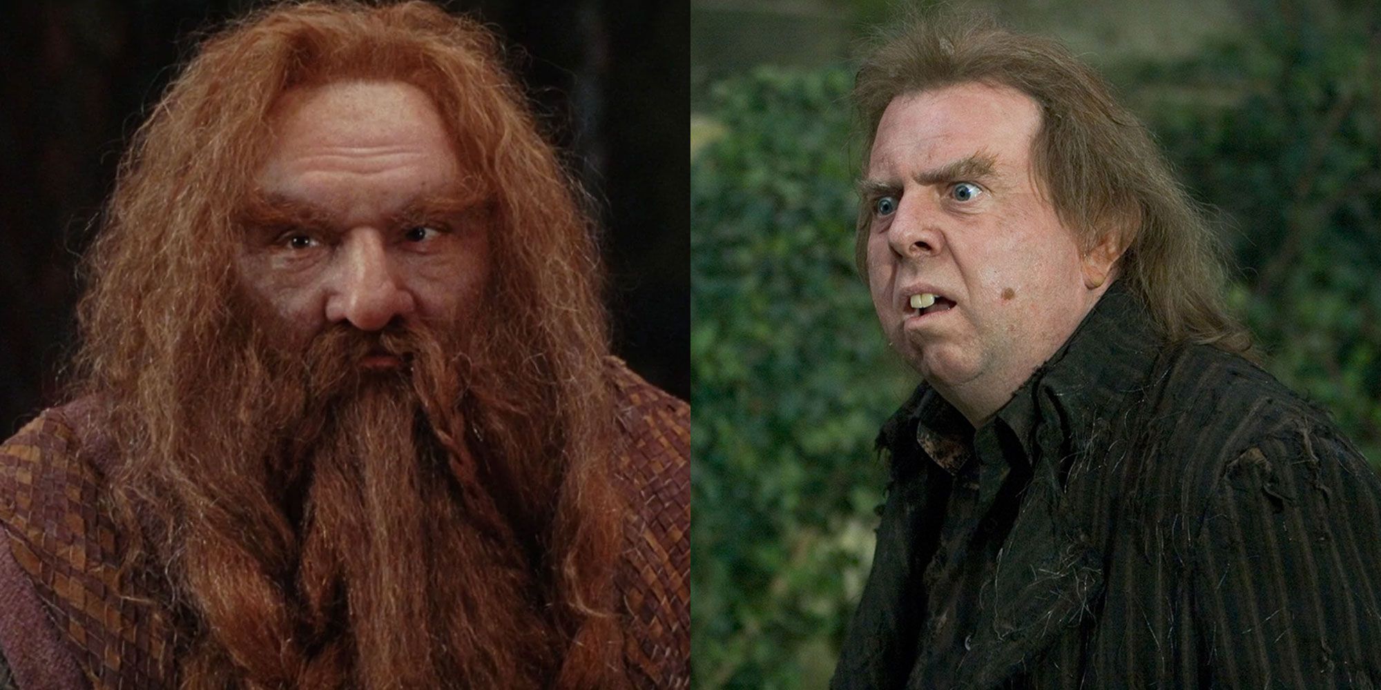 Recasting Lord Of The Rings Characters With Harry Potter Actors
