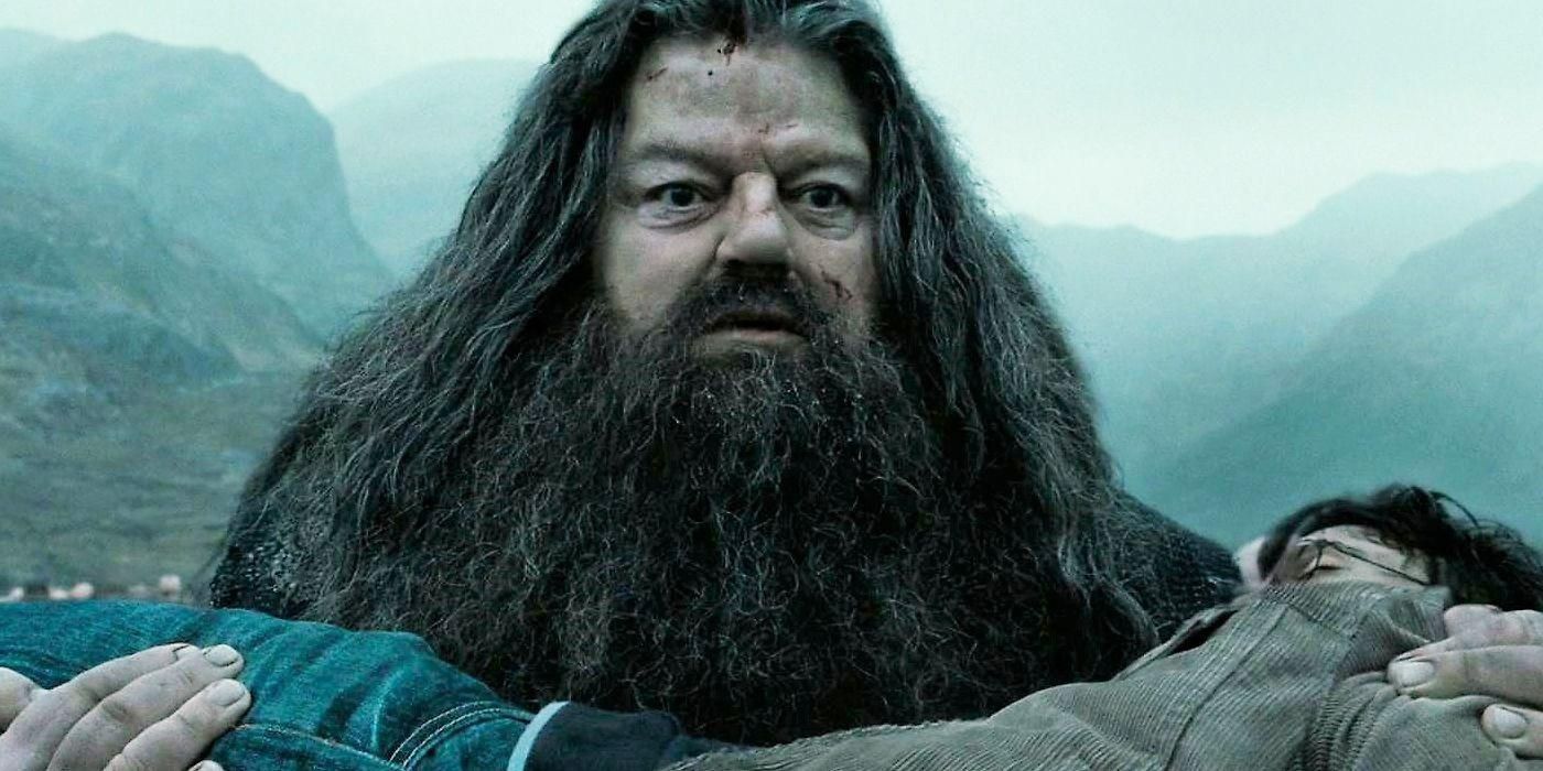 Hagrid carregando o corpo de Harry em Harry Potter