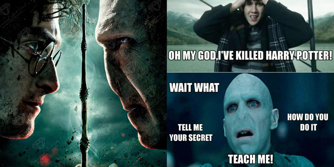 A split image showing Harry and Voldemort facing each other from Harry Potter on the left and a Meme featuring Voldemort on the right. 