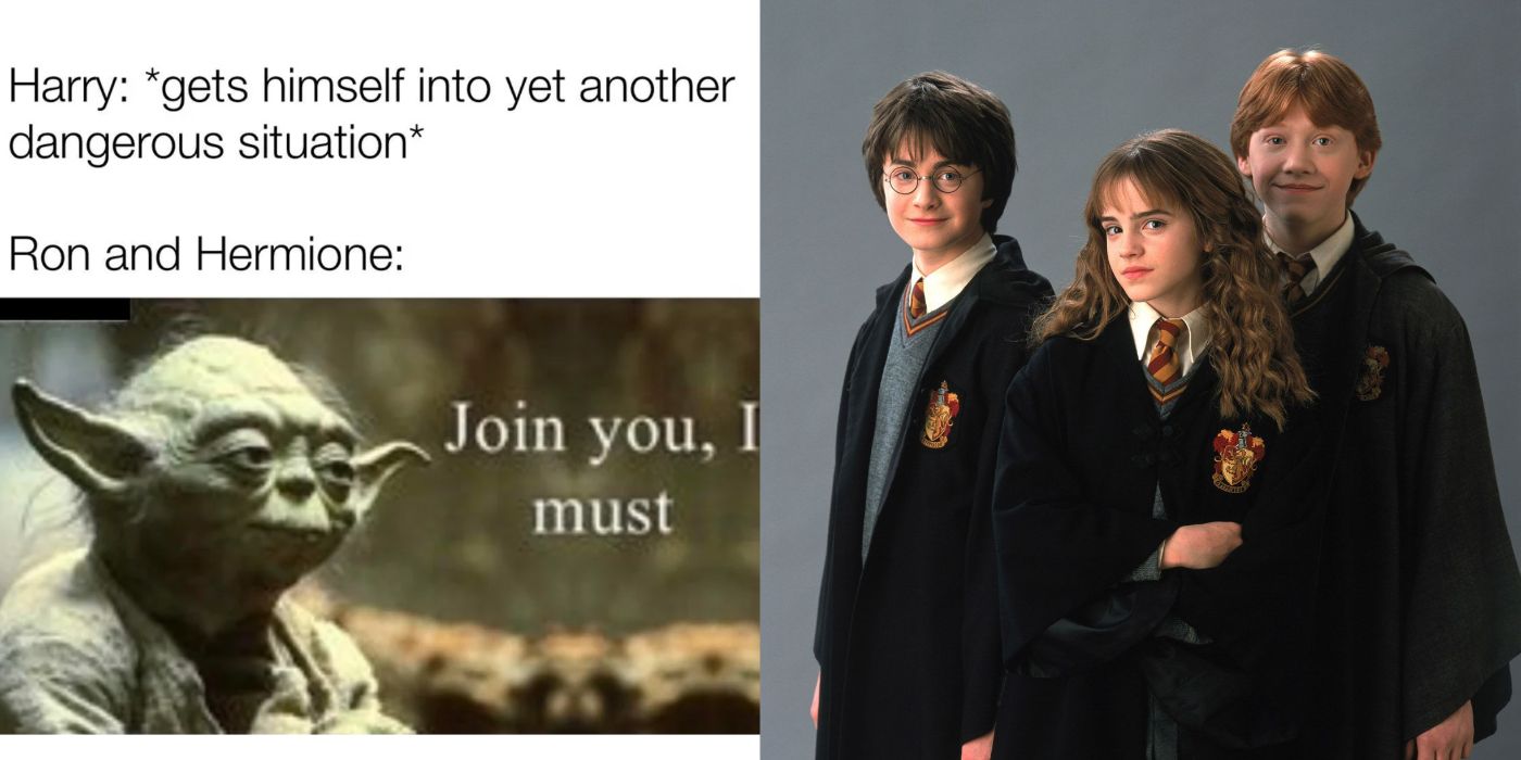 Harry Potter: 10 Hilarious Memes That Sum Up The Fandom