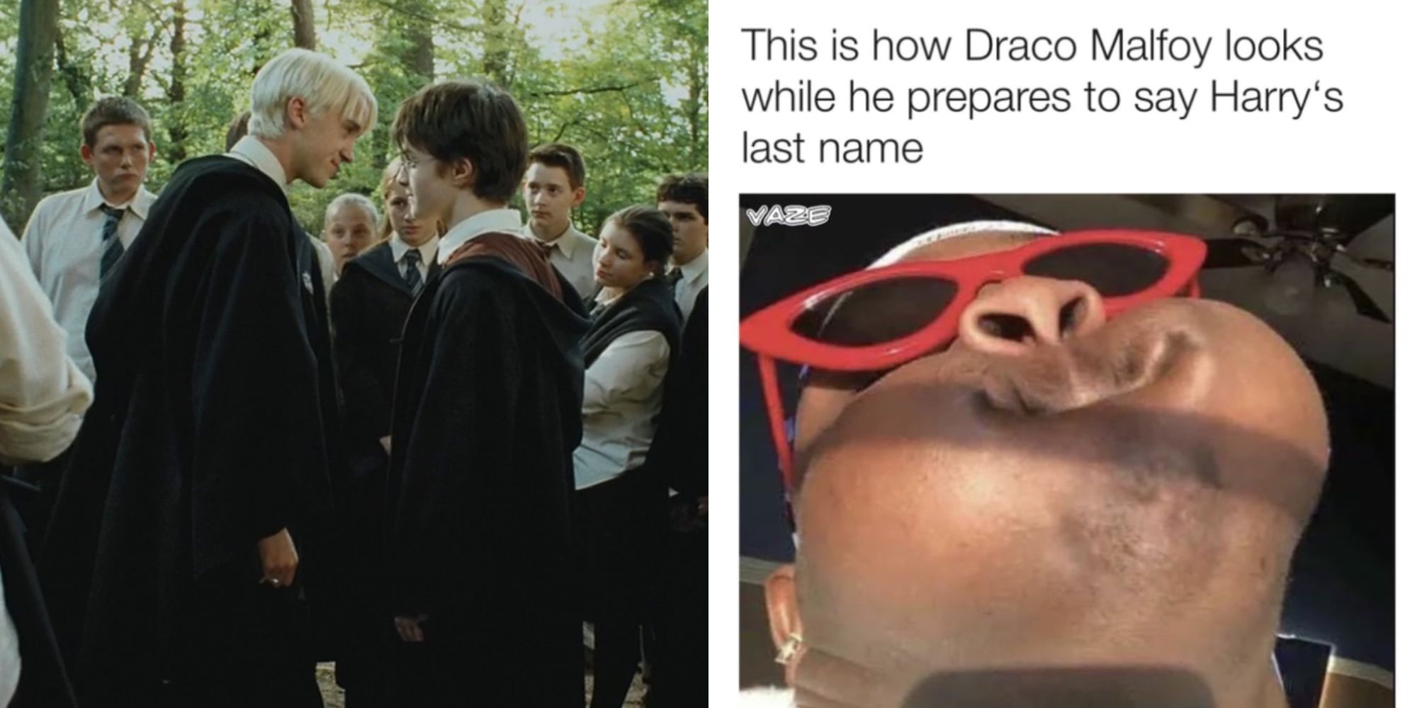 Harry Potter: 10 Hilarious Draco & Harry Memes, ScreenRant