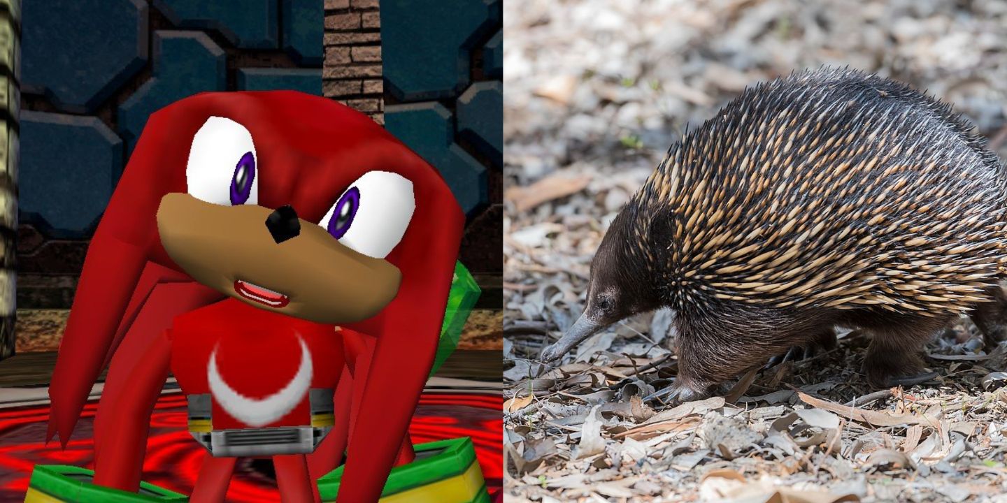 10 Iconic Video Game Characters, Ranked In Comparison To Their IRL Animal Counterparts