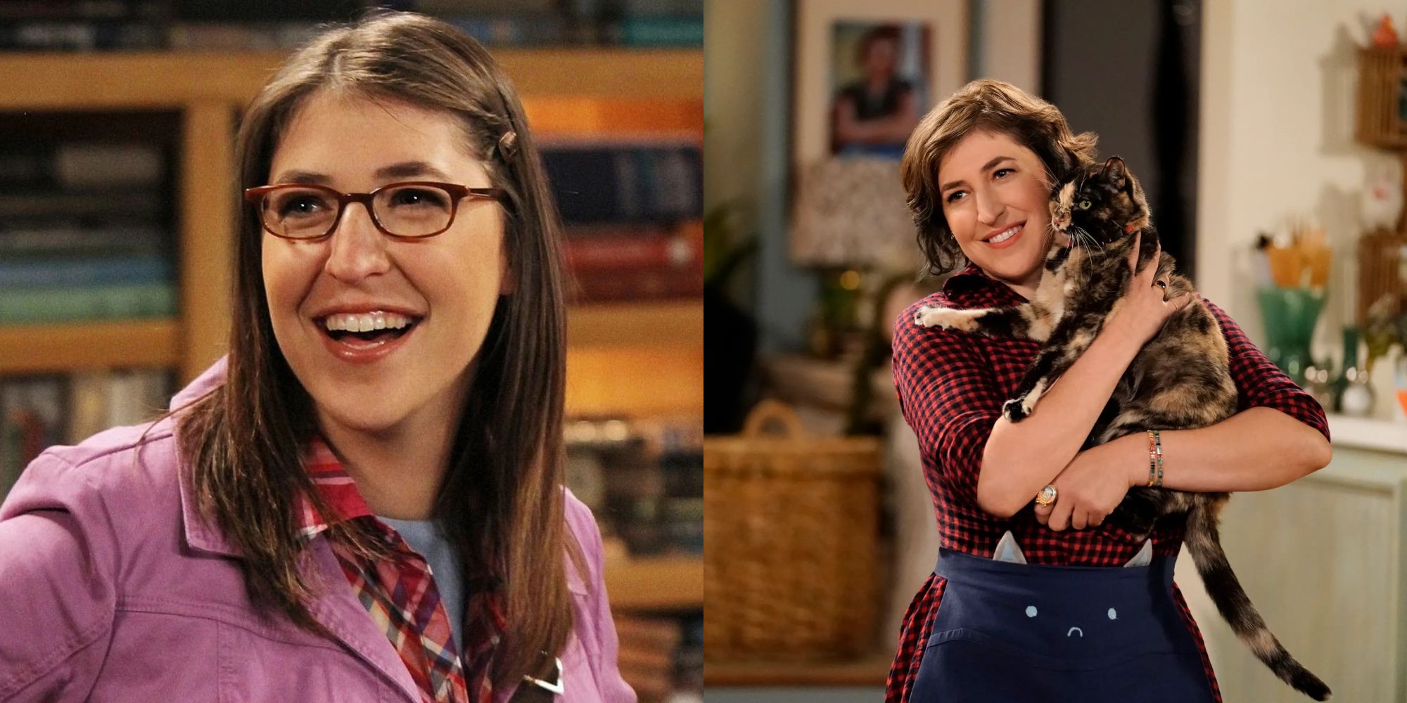 What The Cast of The Big Bang Theory Are Doing Now