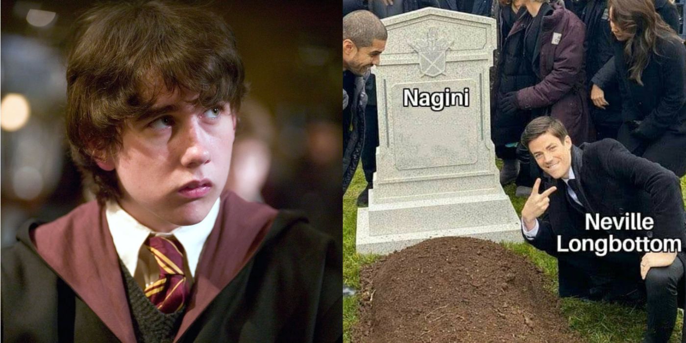 Harry Potter: 10 Memes That Perfectly Sum Up Neville As A Character