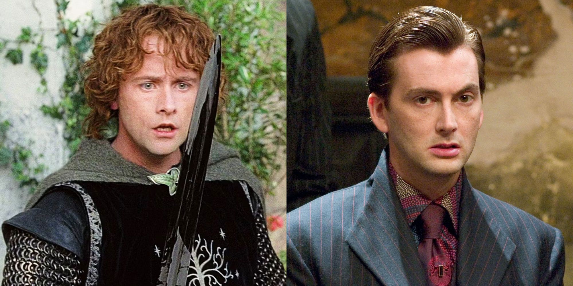 Recasting Lord Of The Rings Characters With Harry Potter Actors