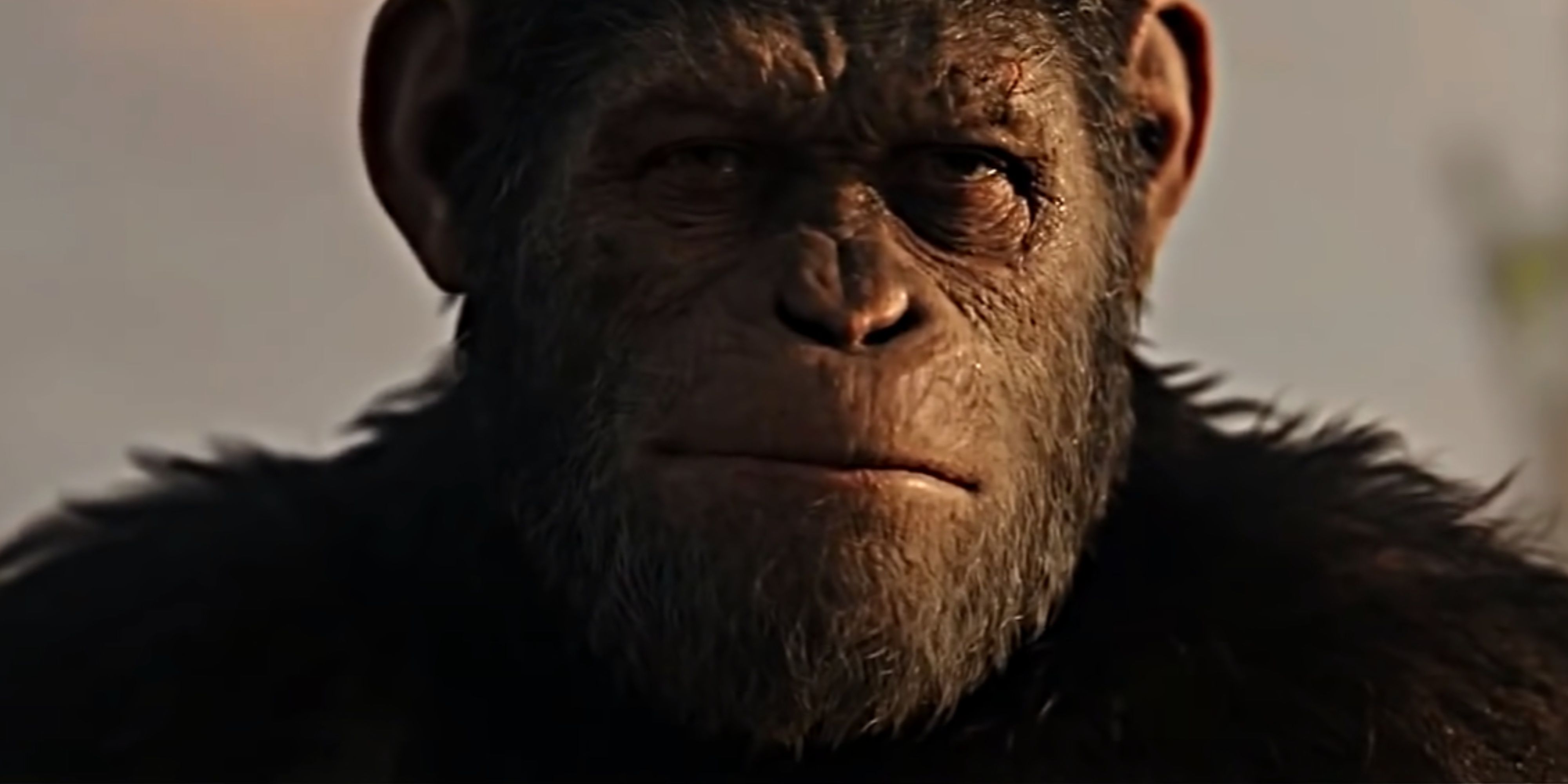 Manga Kingdom Of The Of The Apes' Title Reveals 3 Story Details