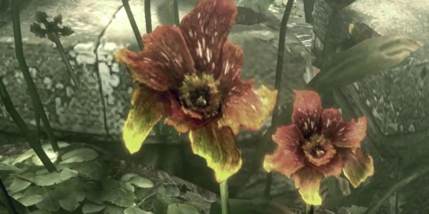 Bunga Resident Evil 5 yang mengandung Progenitor Virus