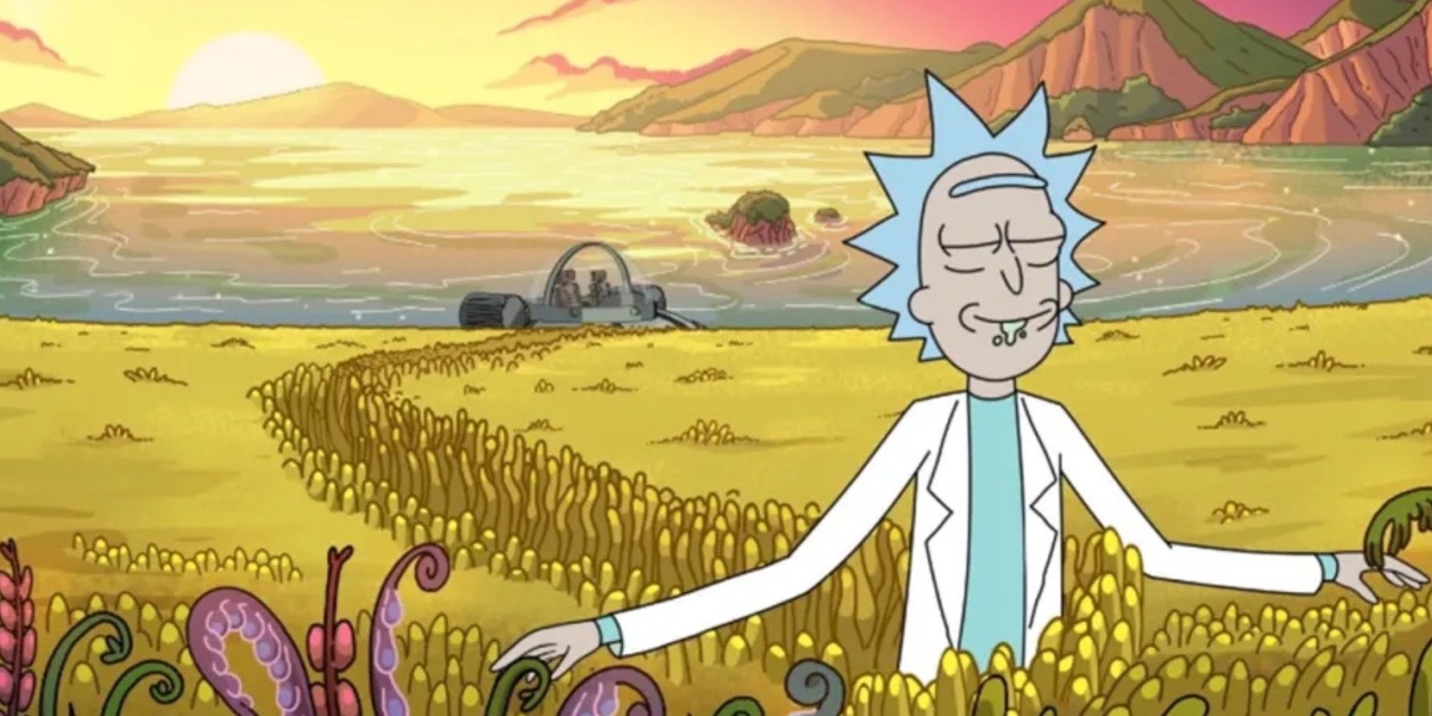 Rick Sanchez in Cartoon Network’s Rick and Morty