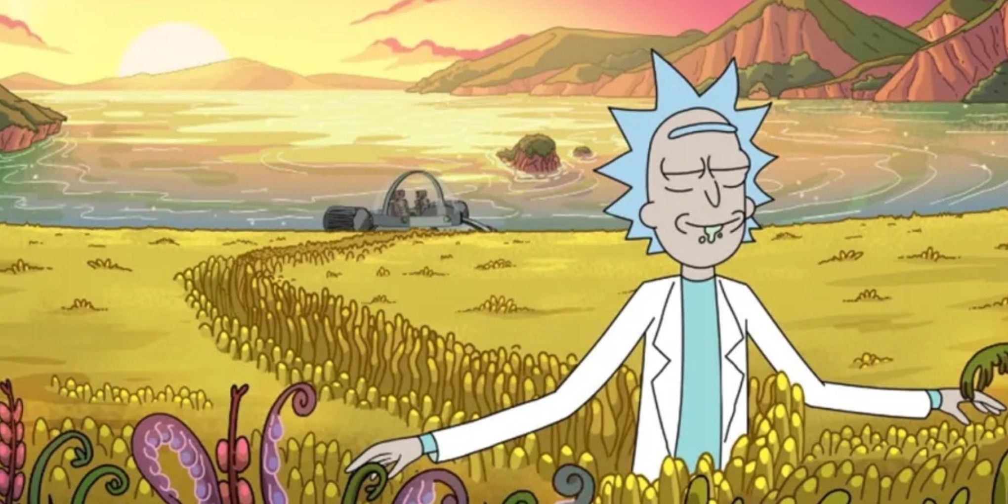 Rick Sanchez in Cartoon Network’s Rick and Morty 