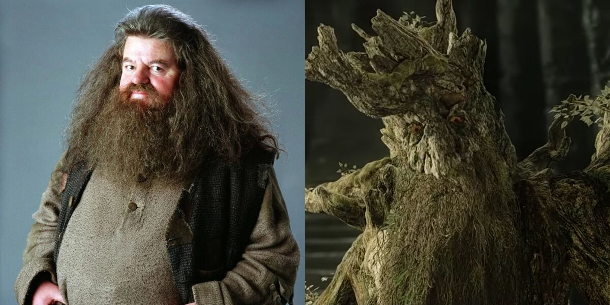 Rubeus Hagrid & Treebeard