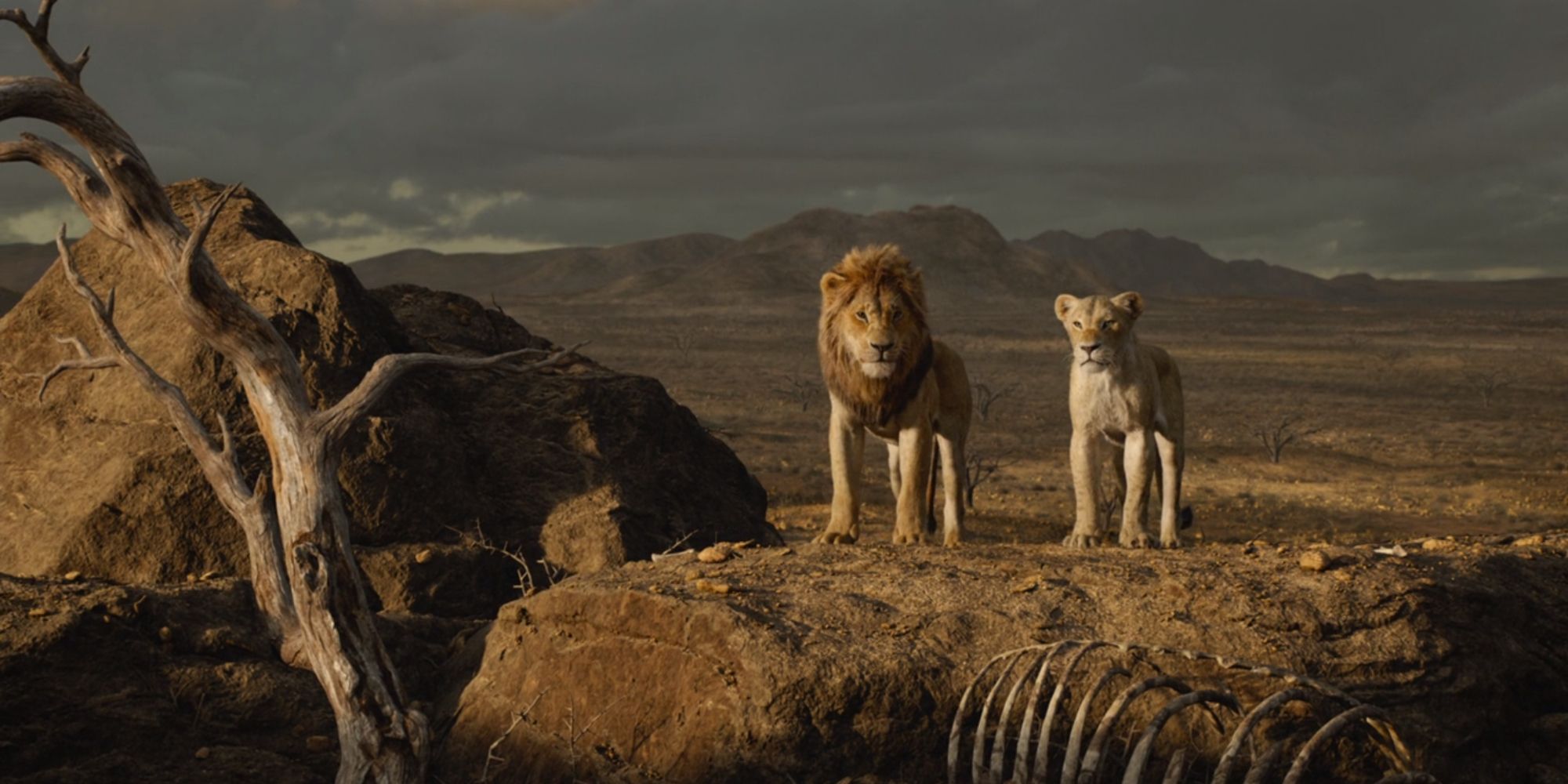 Simba e Nala retornando às Pridelands em O Rei Leão (2019)