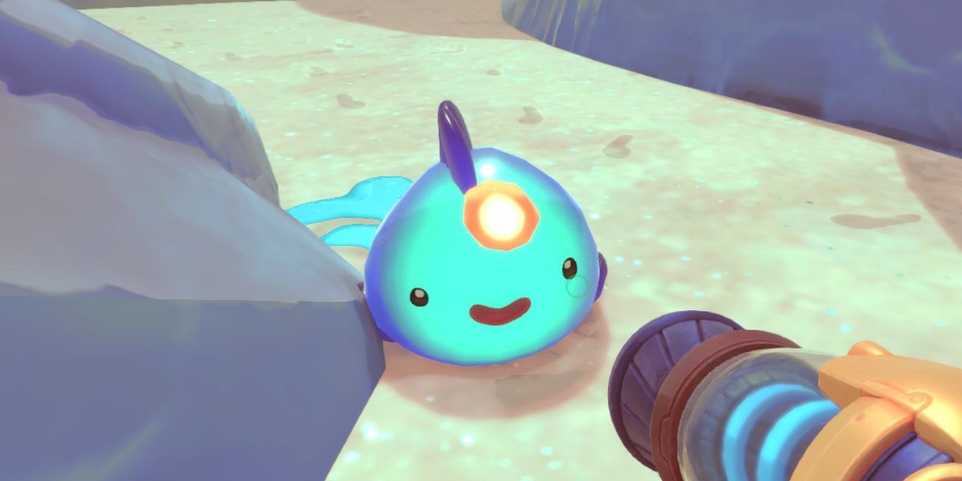 Angler Slime, Slime Rancher Wiki