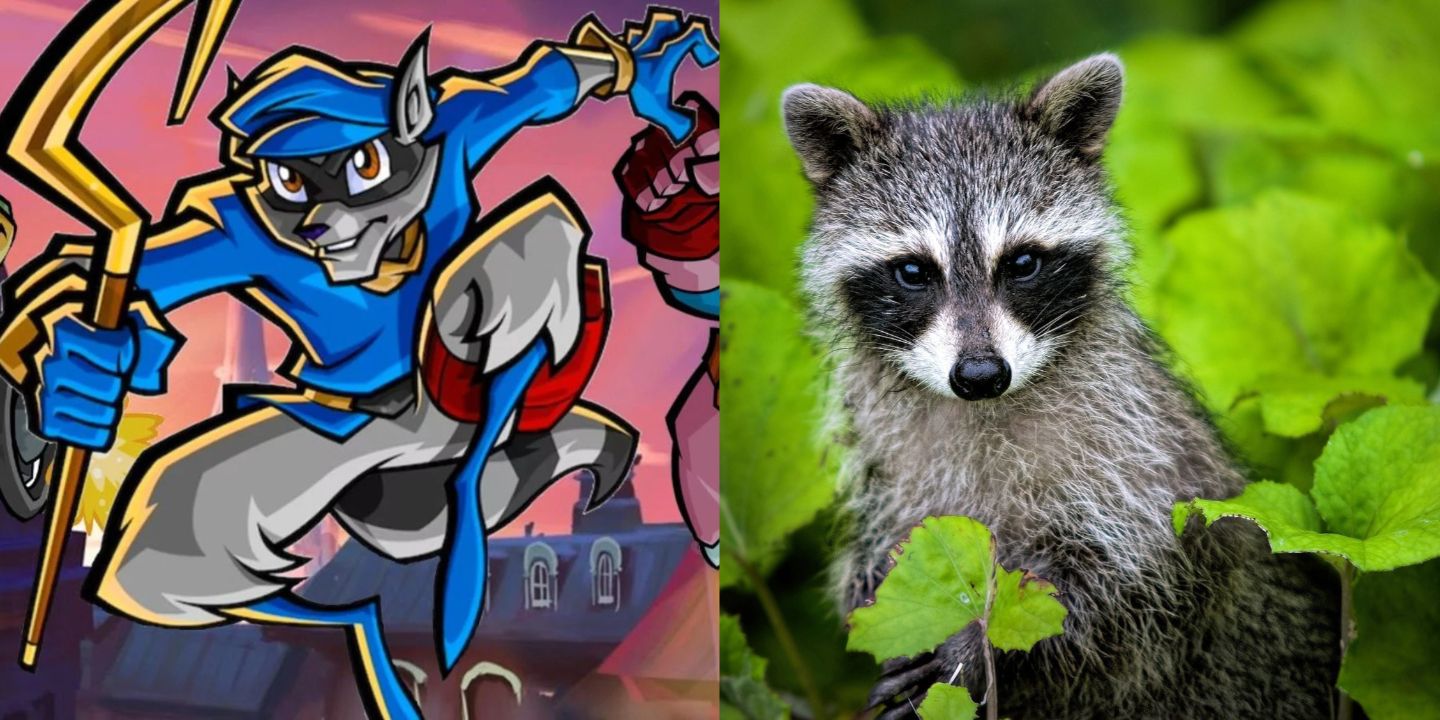 Sly Cooper and a raccoon 