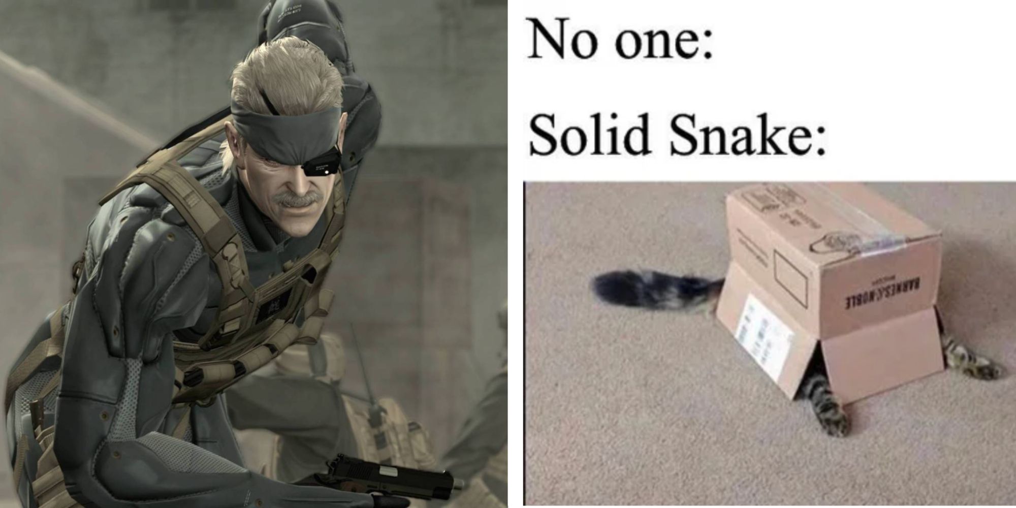 Split image of Solid Snake and a meme of a cat in a box