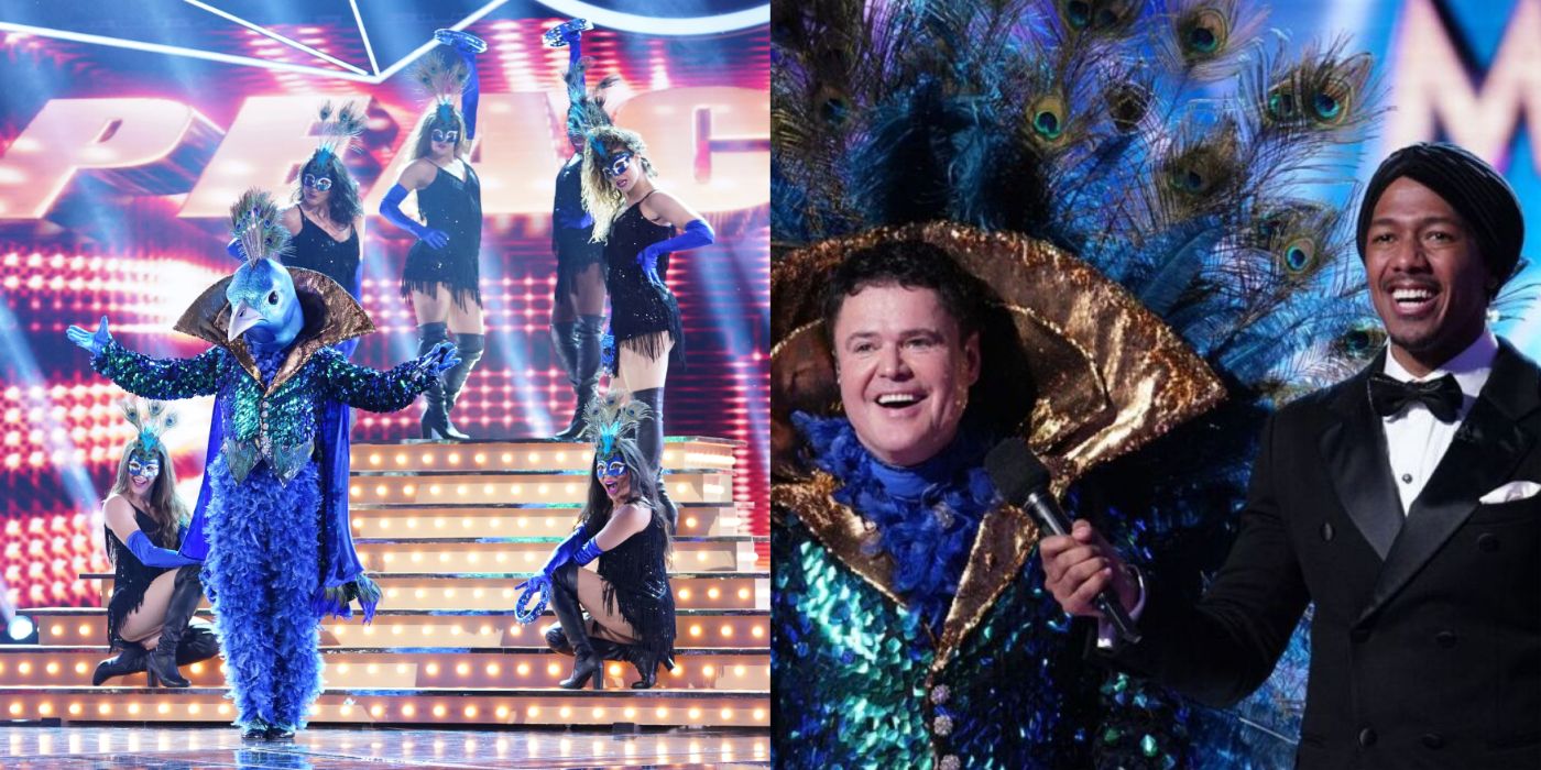 Split Image Donny Osmond as Peacock on The Masked Singer
