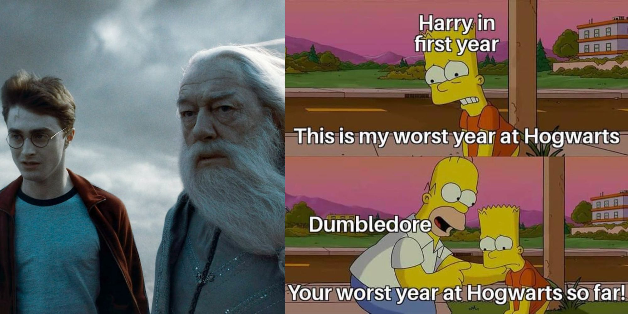 Split Image of Harry and Dumbledore in The Half-Blood Prince, and a Harry and Dumbledore Meme