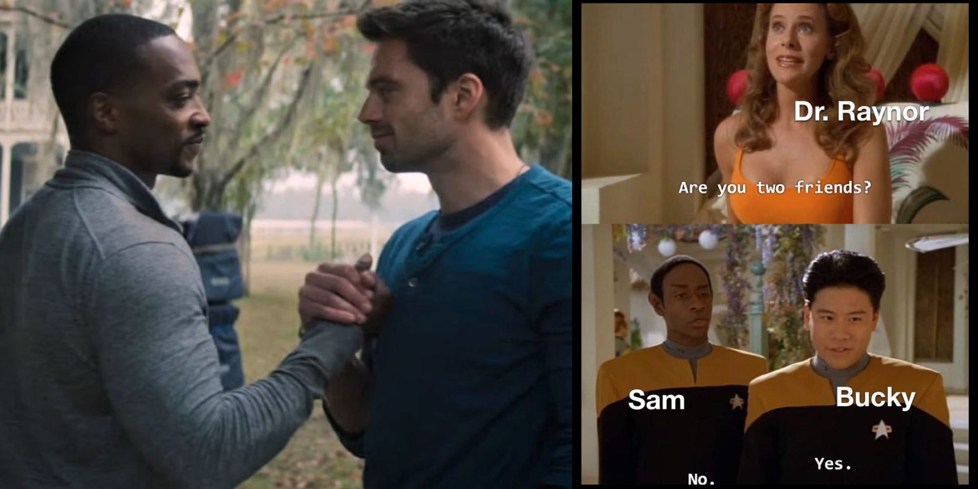 Split Image of Sam and Bucky holding hands and a Sam and Bucky meme about being friends