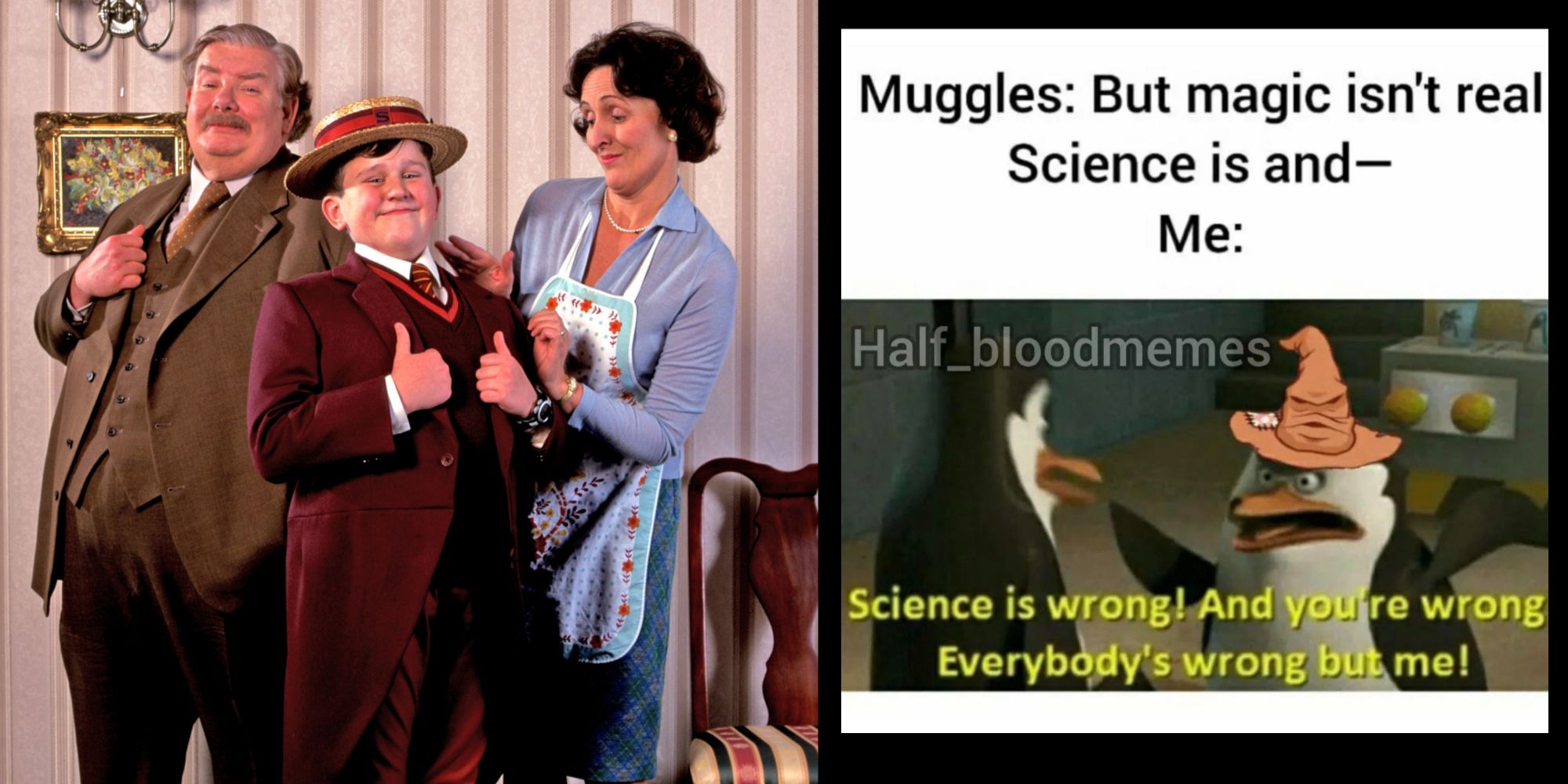 Split Image of the Dursleys from Harry Potter and a meme about Muggles
