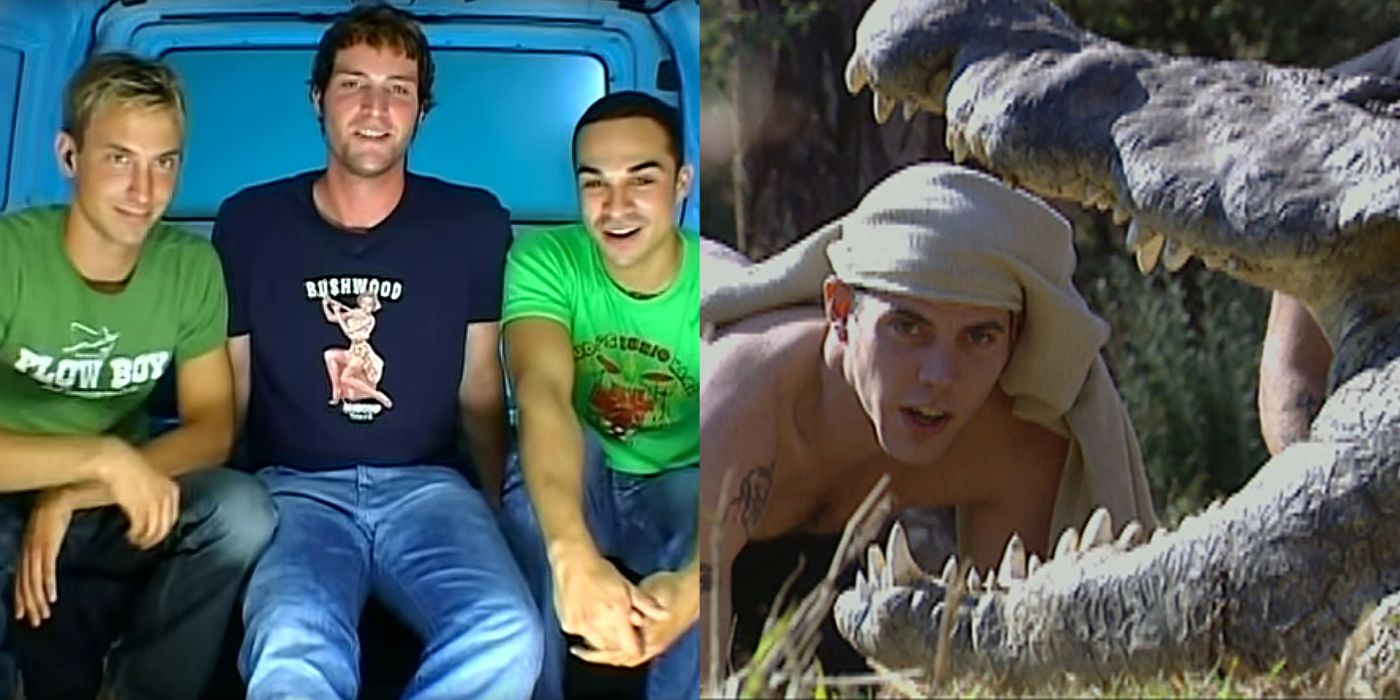 Split image of three guys in the van on Room Raiders and Steve-O putting his head in alligator's mouth on Wildboyz