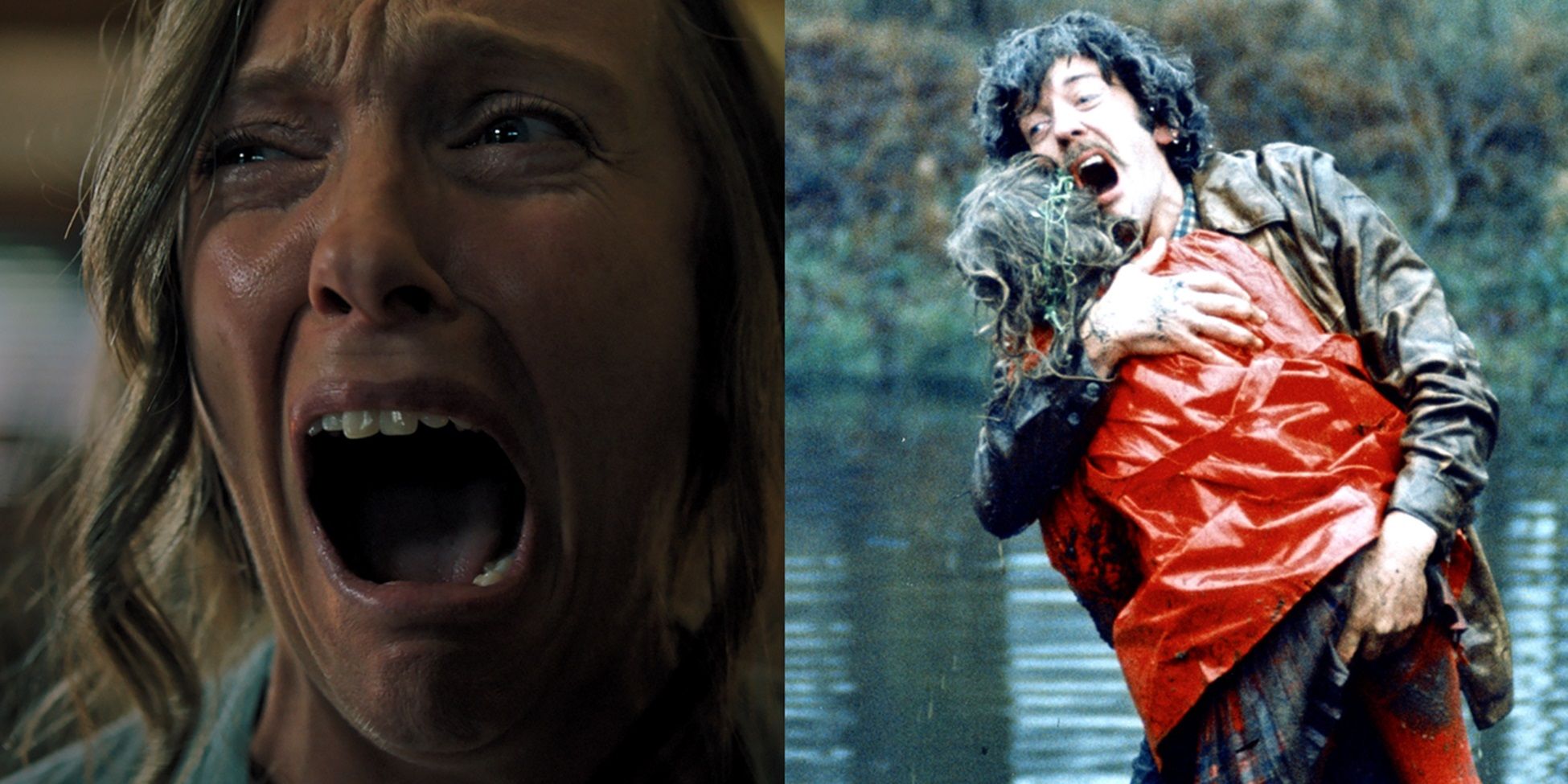 Split image of Annie in Hereditary and John in Don't Look Now