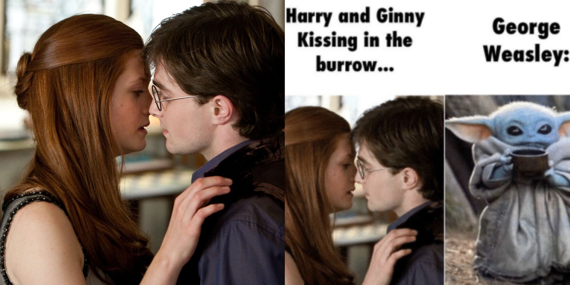 Harry Potter: 10 Memes That Perfectly Sum Up The Entire Franchise