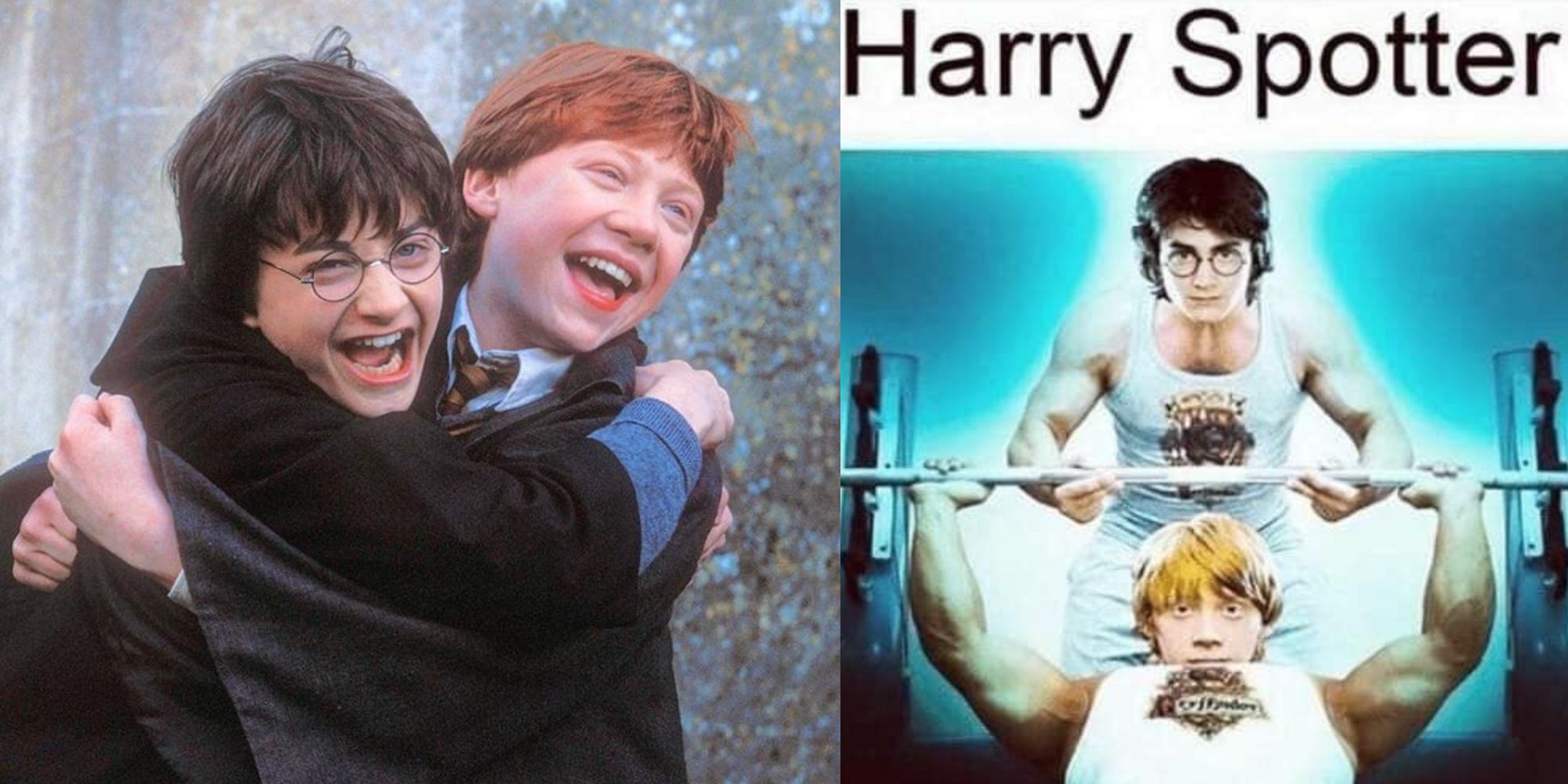 Harry Potter: 10 Memes That Sum Up Hermione & Ron's Relationship In The  Half-Blood Prince