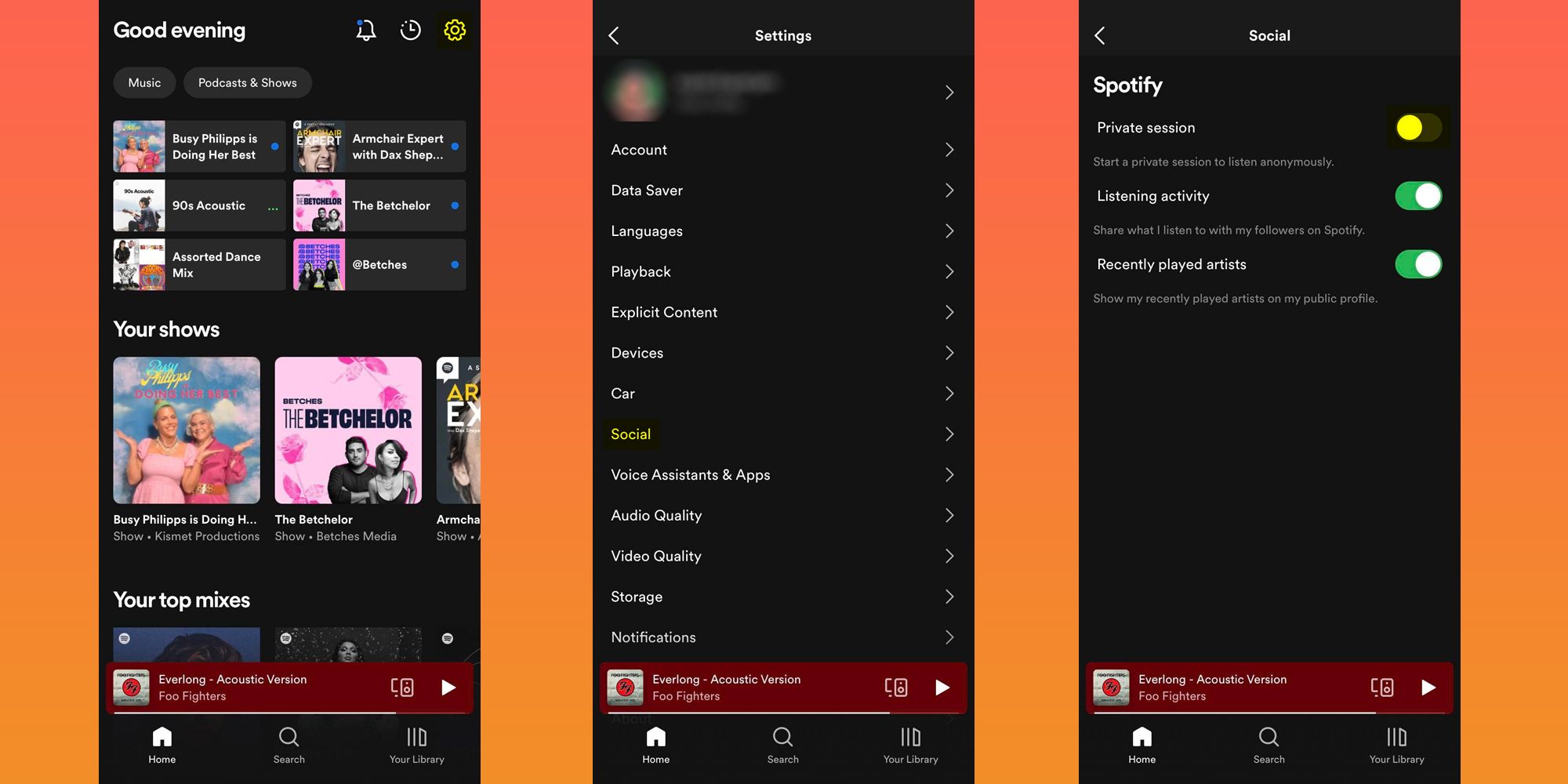 Spotify app private session