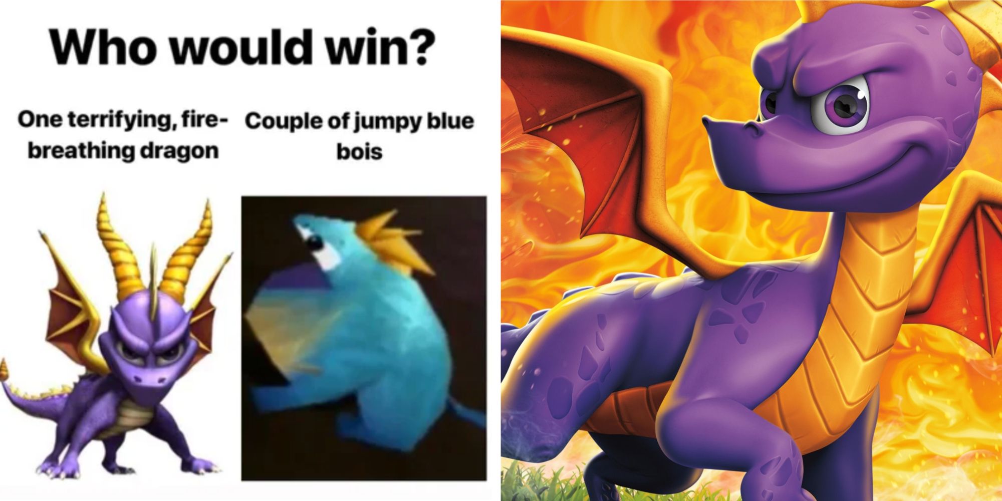 Spyro the Dragon: 10 Memes That Perfectly Sum Up The Games, Gamers Rumble, gamersrumble.com
