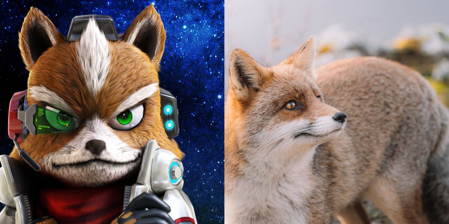 Star Fox e uma raposa