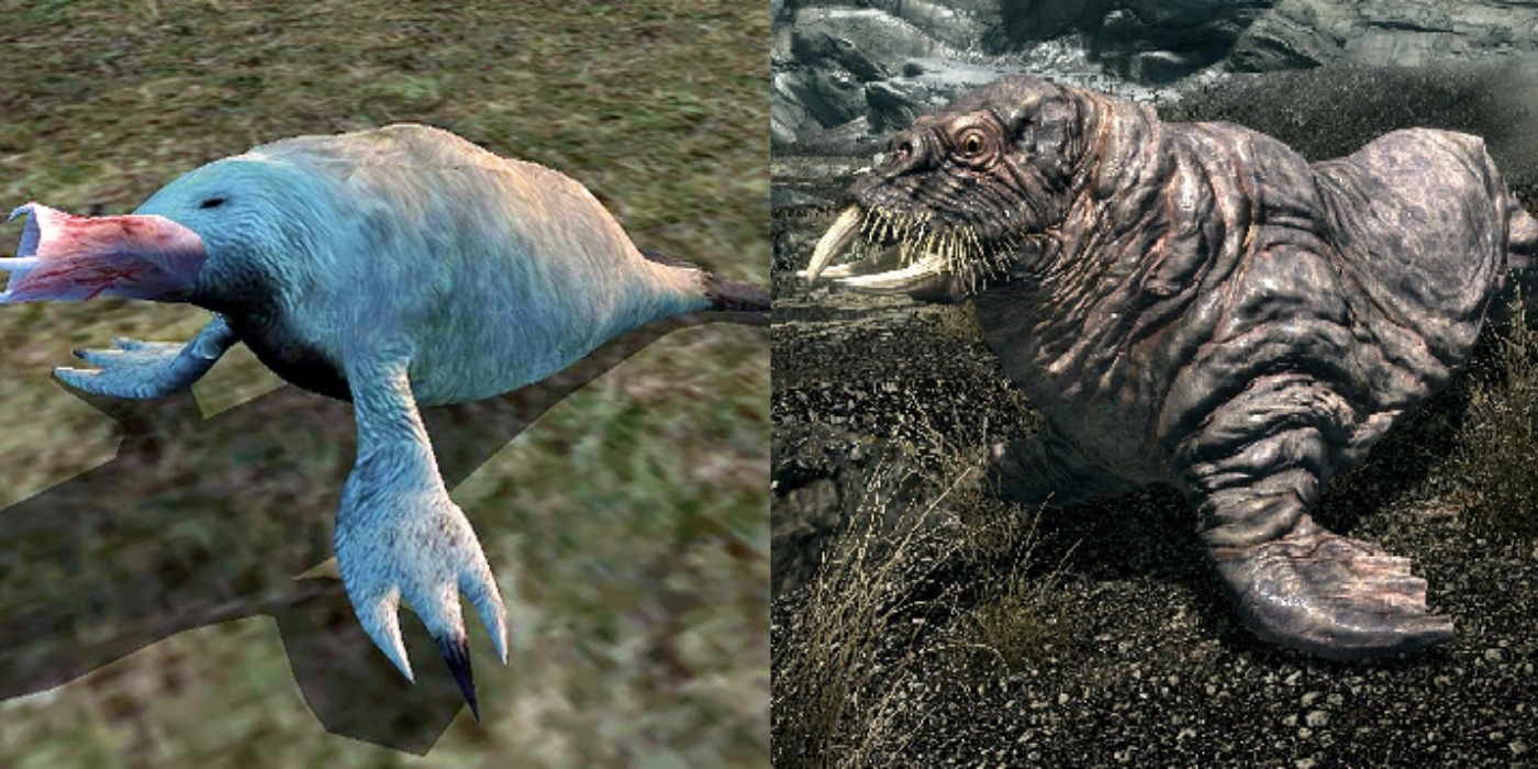 Different horkers in Elder Scrolls