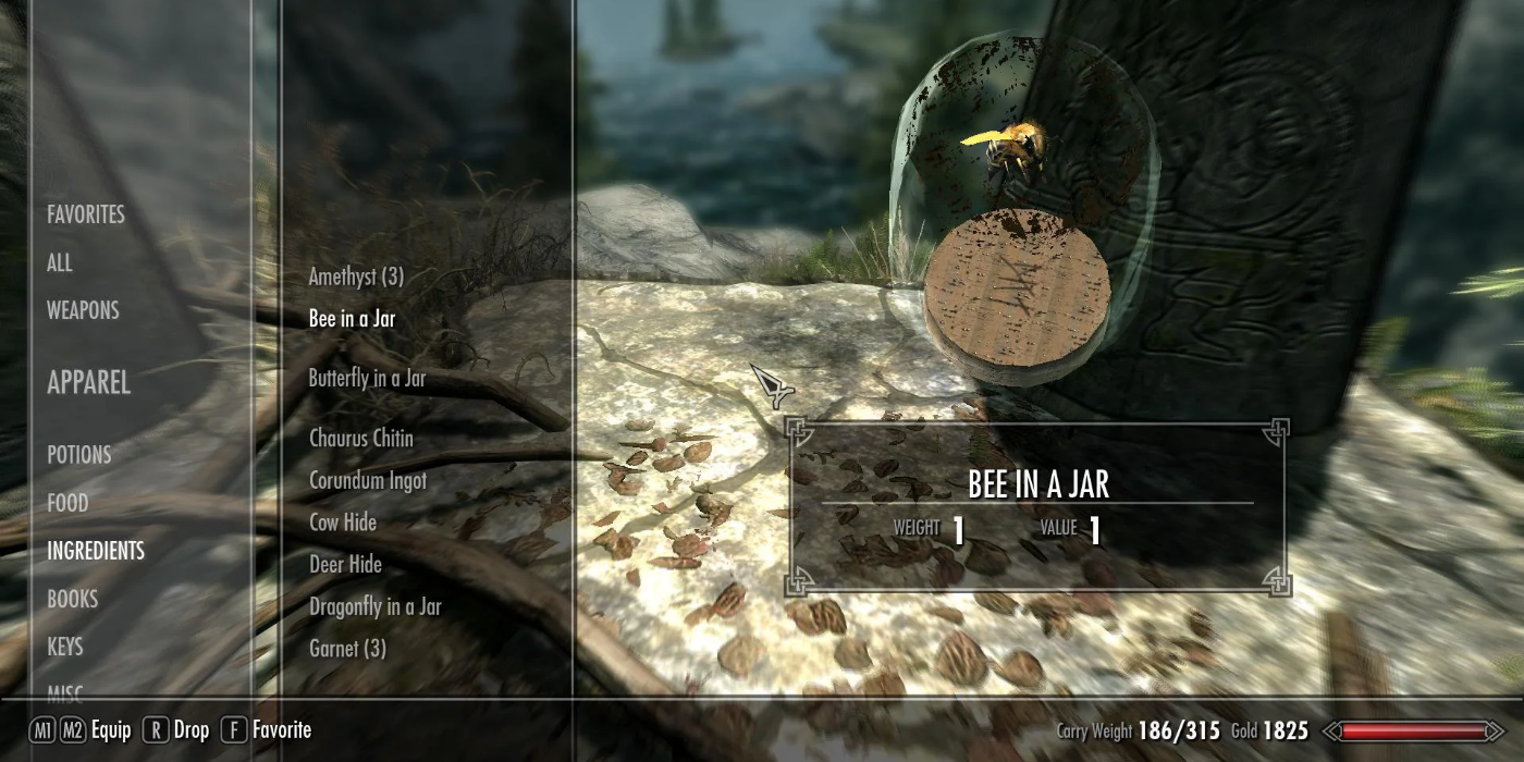 Bee in a Jar Skyrim menu