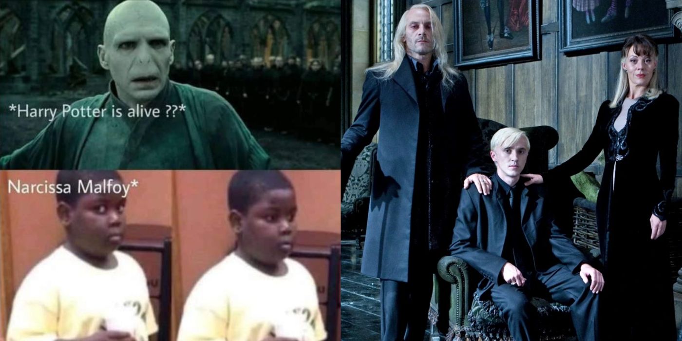 Harry Potter: 10 Memes That Perfectly Sum Up The Malfoy Family