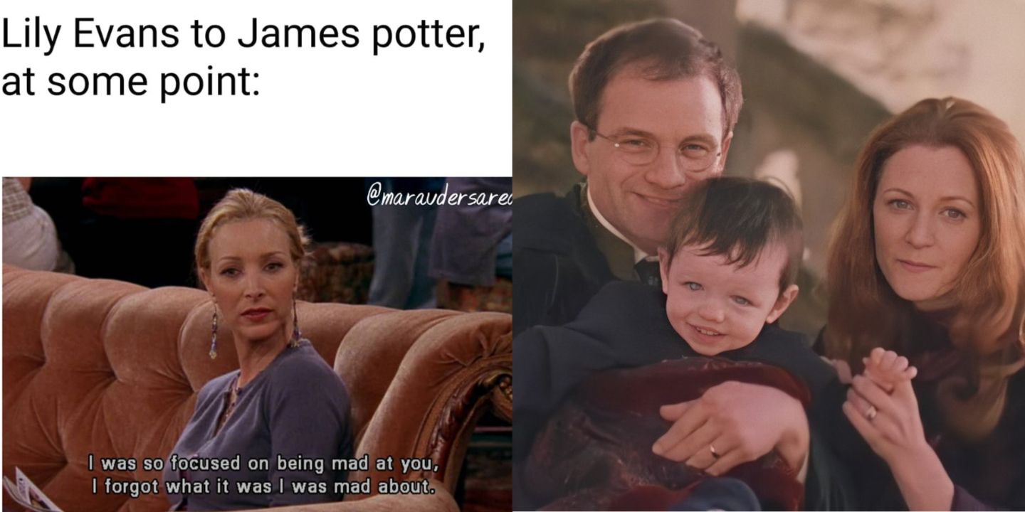 Harry Potter': Hilarious Memes That Perfectly Sum Up Hermione Granger In  Every Movie