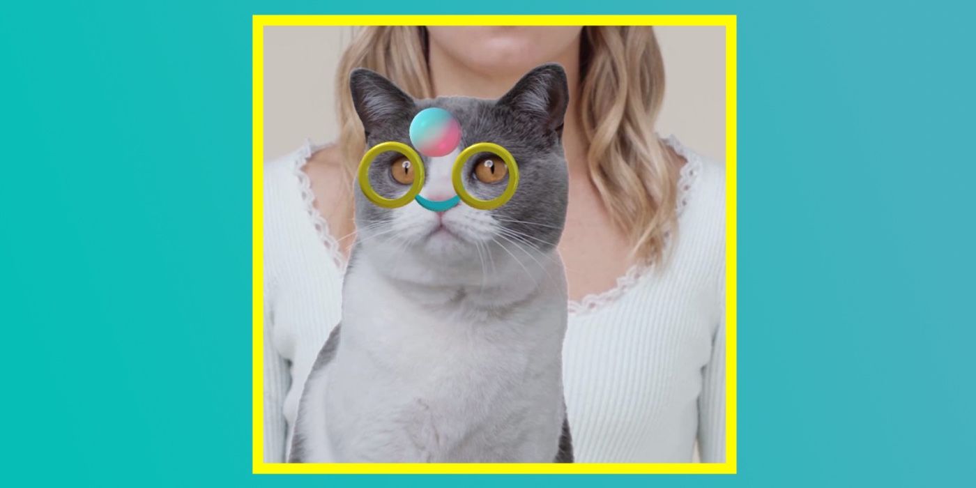 How To Use TikTok’s AR Tracking Effects For Your Pet