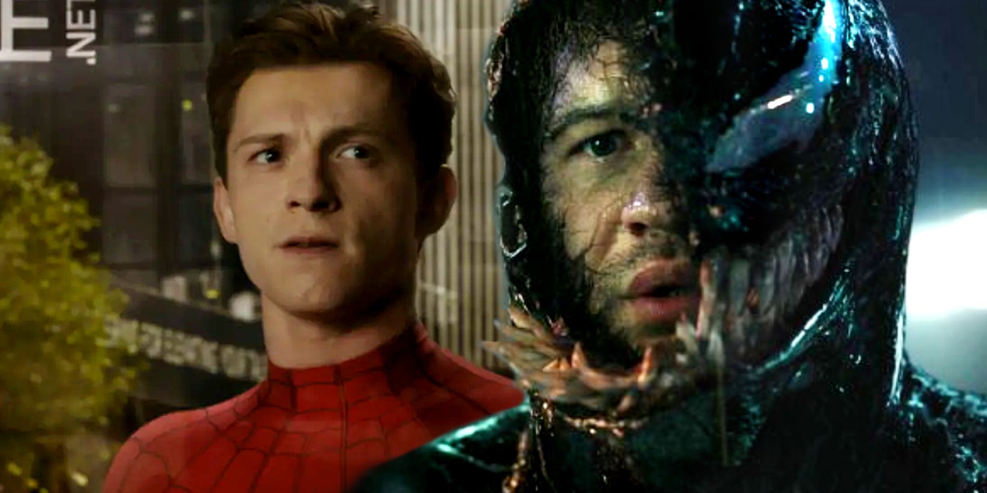 Tom Holland Spider-Man in the Venom 2 Post-Credits Scene