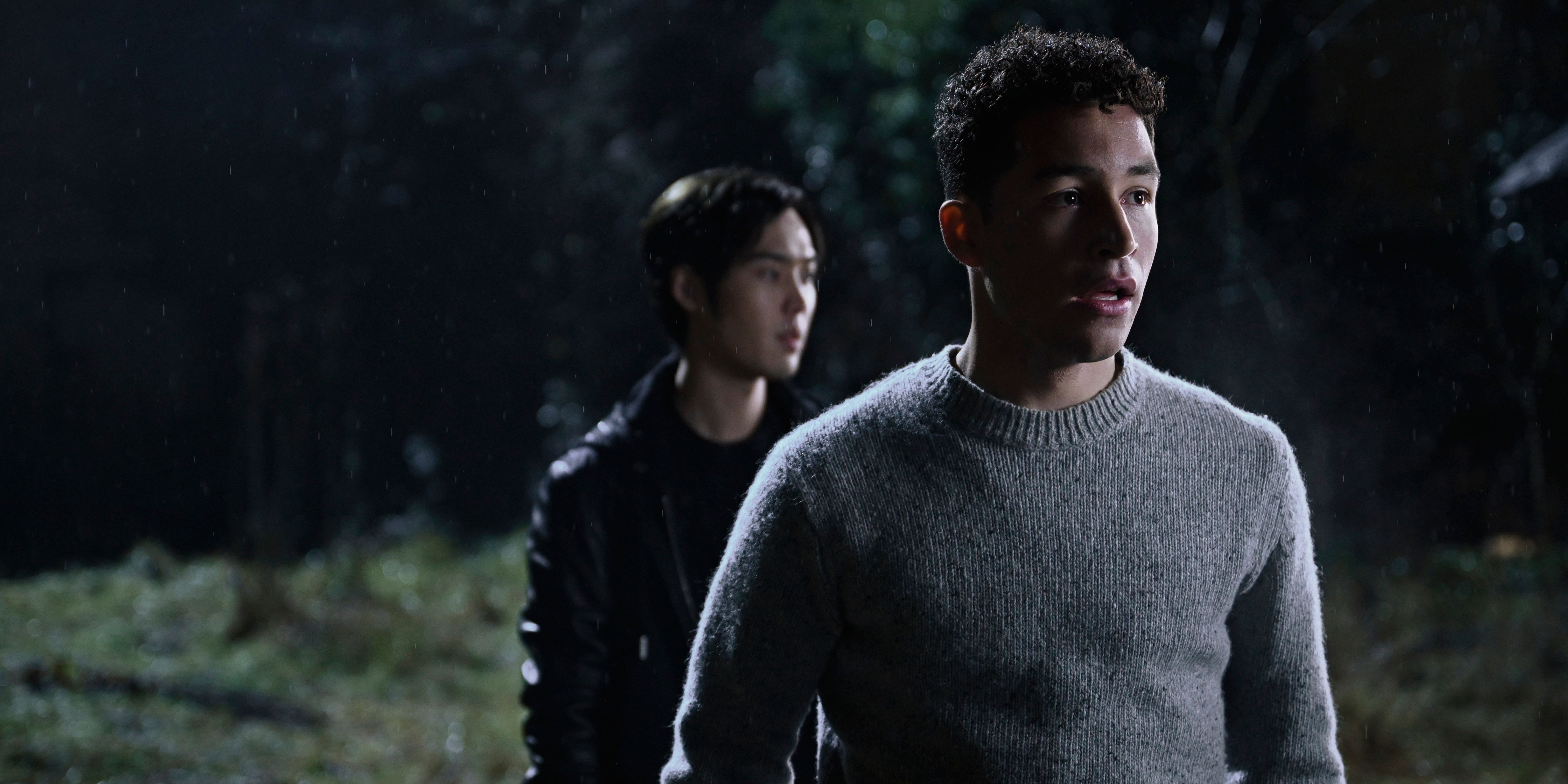 Vampire Academy Series 3