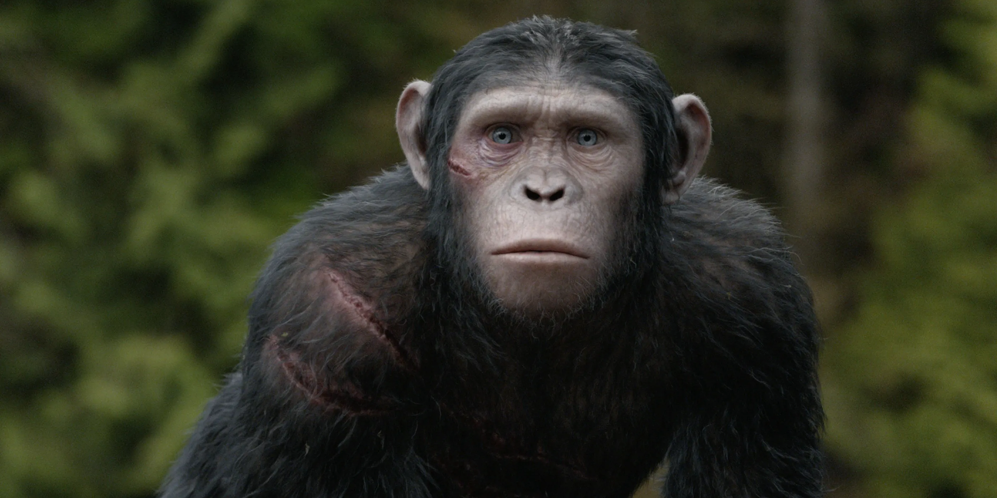 blue eyes in planet of the apes