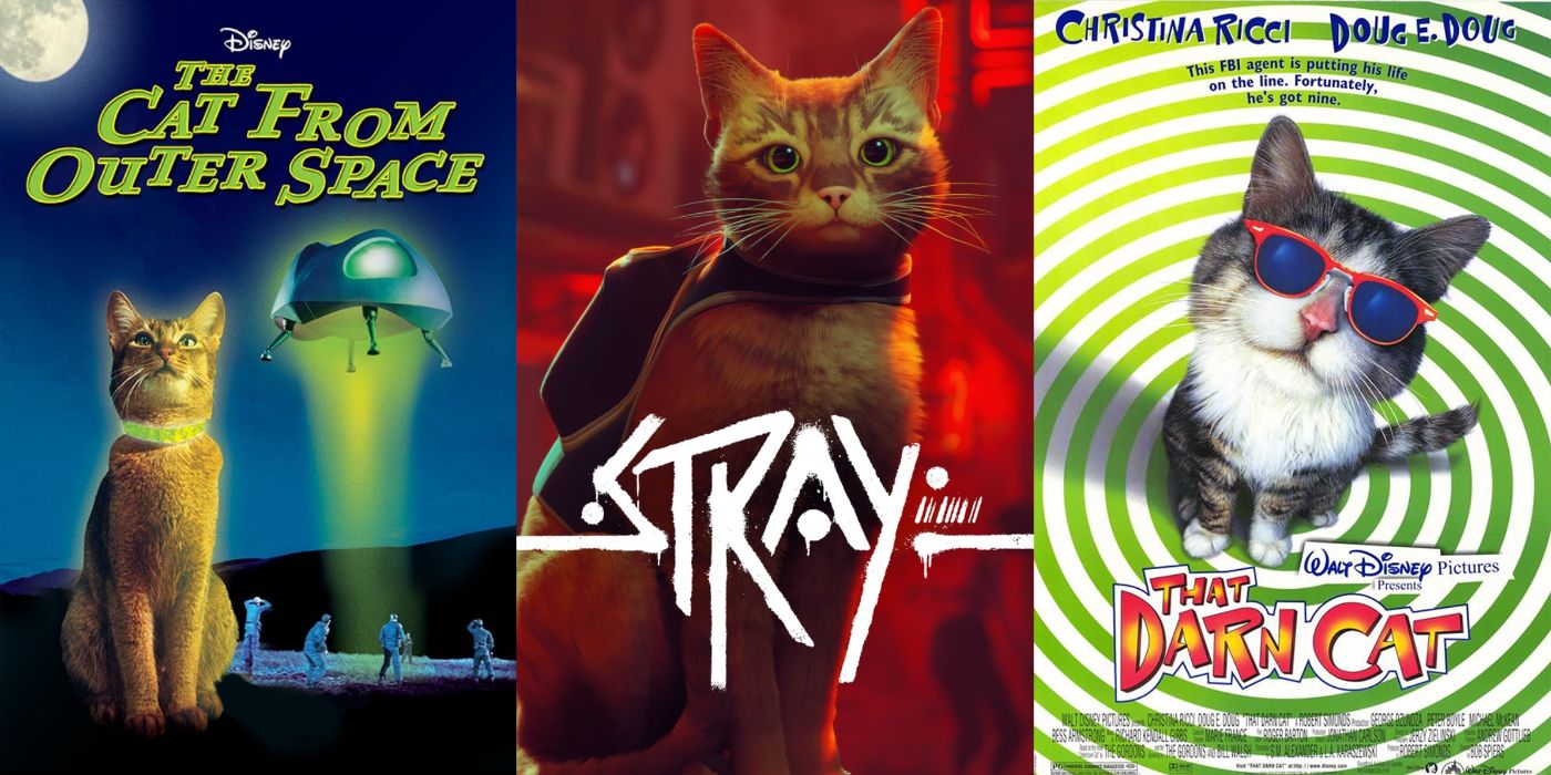 10 Best Cat Movies To Watch If You Loved Stray