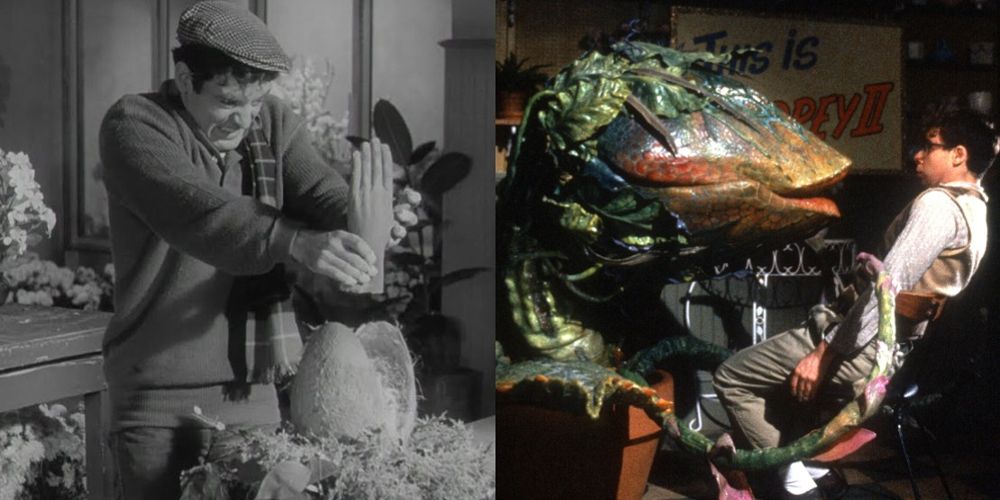 Seymour battles the plant in both versions of Little Shop of Horrors