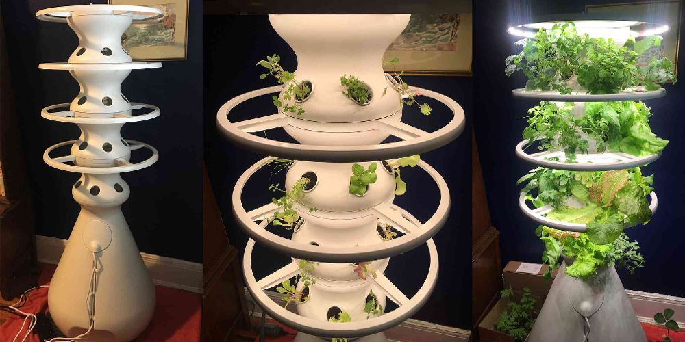 Lettuce Grow's Farmstand variants are shown side by side