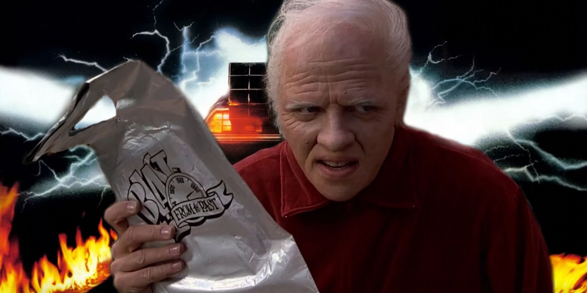 Old Biff In Back To The Future Part Ii 