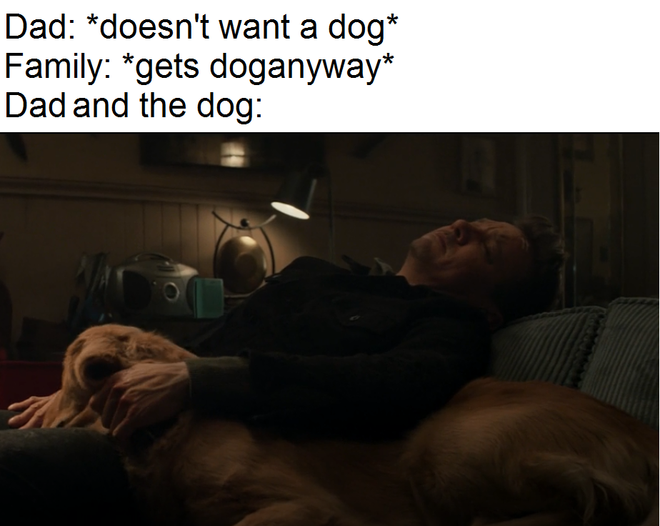 Hawkeye: 10 Memes That Perfectly Sum Up The Show