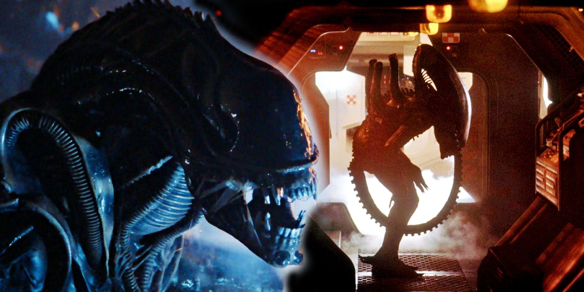 Manga Why Ridley Scott Was Right About The Xenomorph S Absence In Alien Mangareader Lol Why
