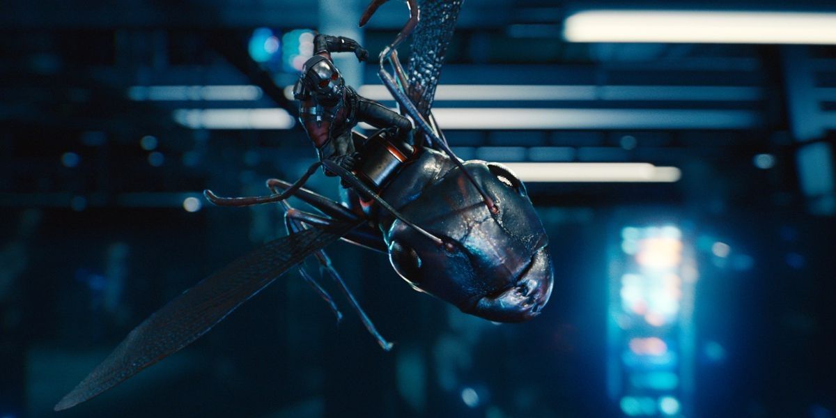 Ant-Man mengendarai semut terbang