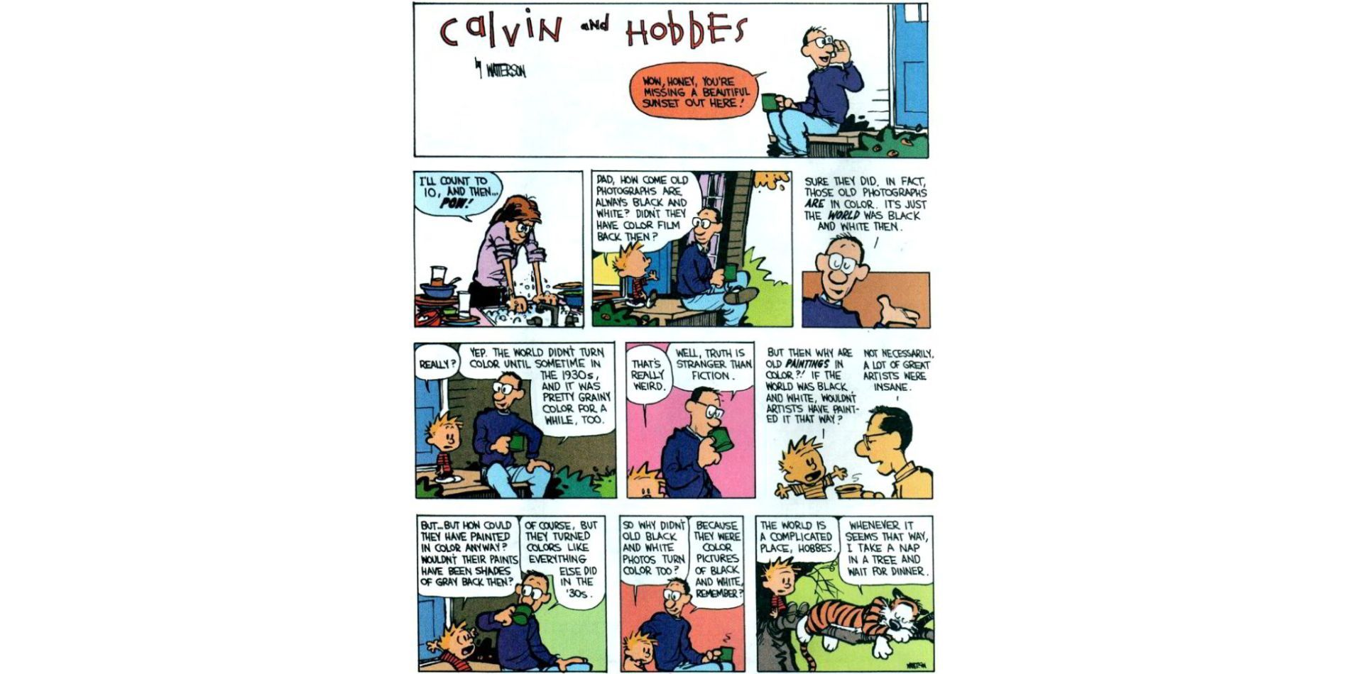 Calvin and hobbes the world is complicated