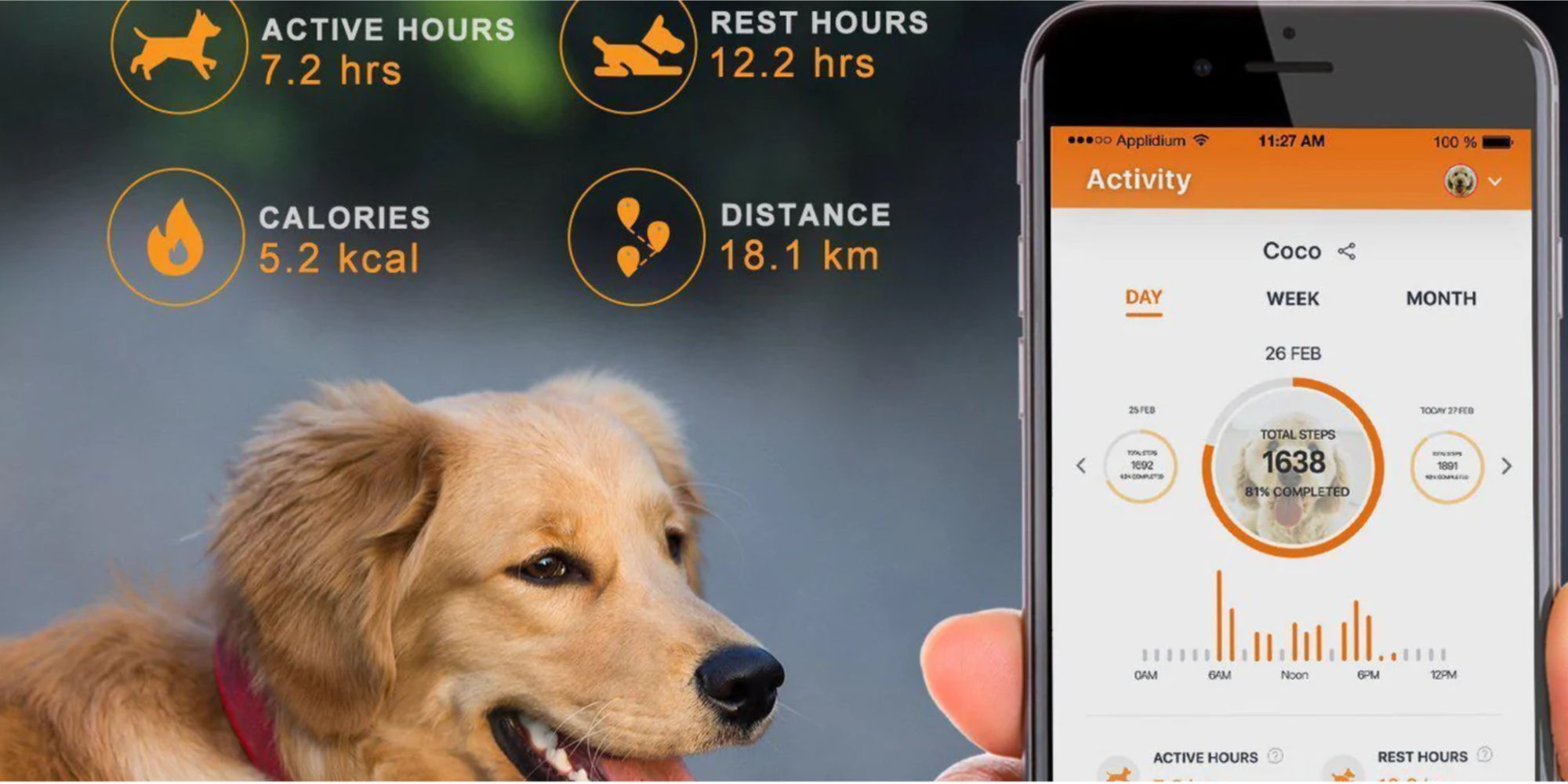 The Coco Pet Activity Monitor